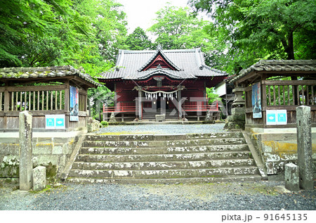 埼玉県秩父市下吉田 椋(むく)神社 埼玉県秩父市下吉田 椋(むく)神社 91645135