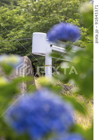 梅雨の道路 梅雨の道路 91645371