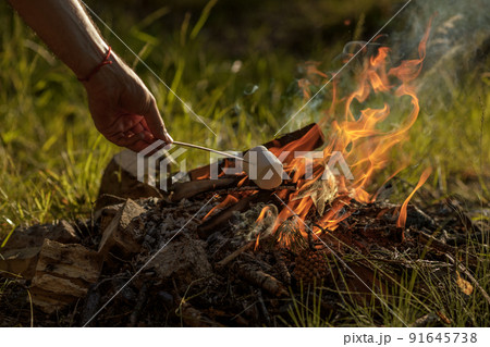 Roasting marshmallow on skewer over the bonfire 91645738