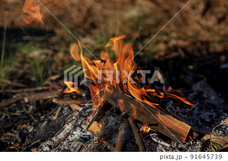 Close up of burning timber bonfire in summer forest..The concept of adventure, travel, tourism, camping, survival and evacuation. Close up of burning timber bonfire in summer forest..The concept of adventure, travel, tourism, camping, survival and evacuation. 91645739