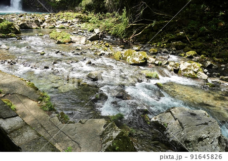天城の浄蓮の滝 天城の浄蓮の滝 91645826