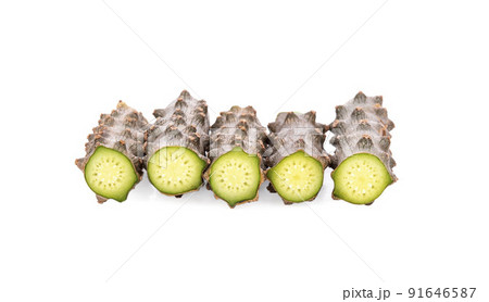 Tinospora cordifolia herb on white background Tinospora cordifolia herb on white background 91646587