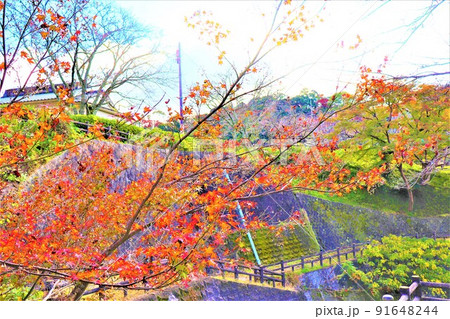 根来寺　秋の風景 91648244