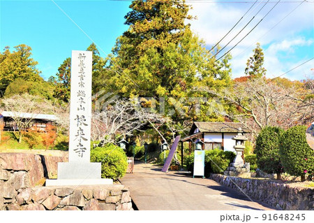 根来寺 秋の風景 根来寺 秋の風景 91648245
