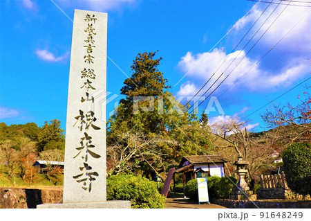 根来寺　秋の風景 91648249