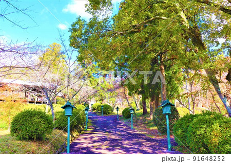 根来寺　秋の風景 91648252