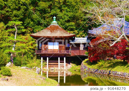 根来寺　秋の風景 91648270