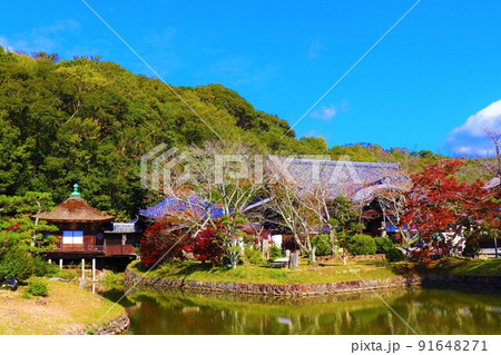 根来寺　秋の風景 91648271