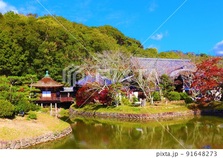根来寺 秋の風景 根来寺 秋の風景 91648273