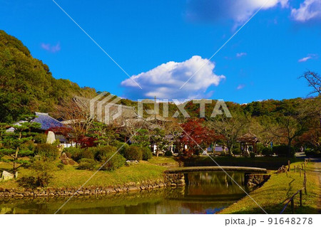 根来寺　秋の風景 91648278