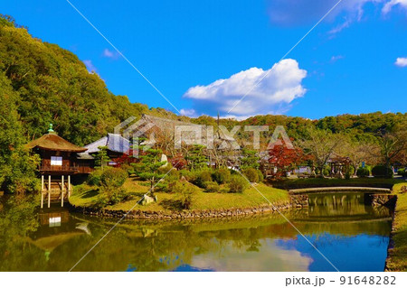 根来寺　秋の風景 91648282