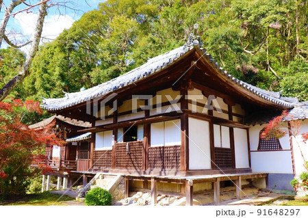 根来寺　秋の風景 91648297