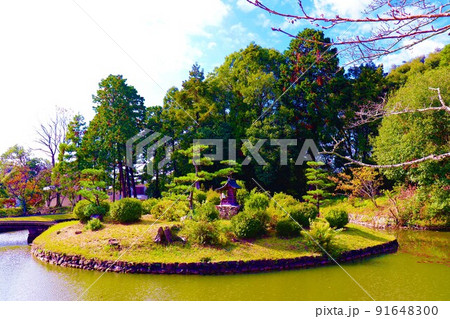根来寺　秋の風景 91648300