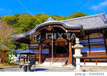 根来寺　秋の風景 91648302