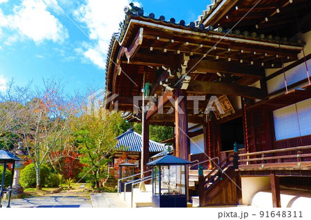 根来寺　秋の風景 91648311