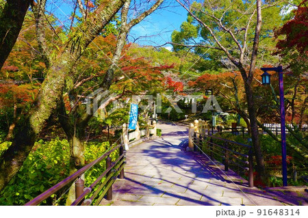 根来寺　秋の風景 91648314