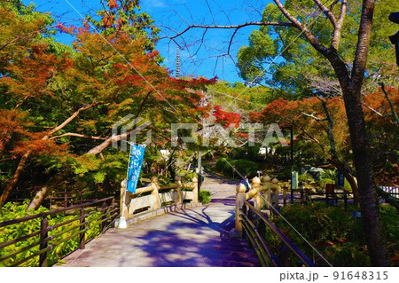 根来寺　秋の風景 91648315