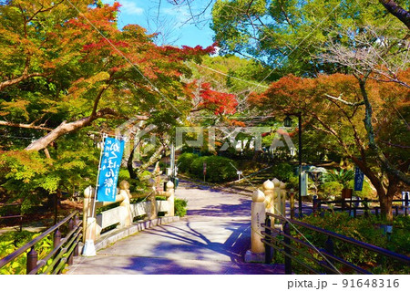 根来寺　秋の風景 91648316