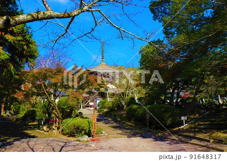 根来寺 秋の風景 根来寺 秋の風景 91648317