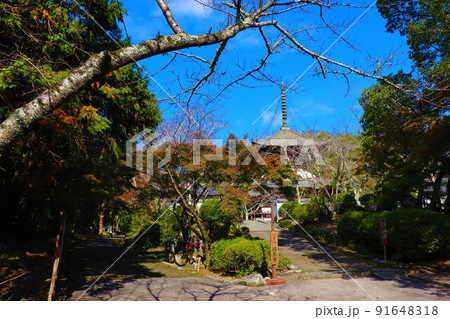 根来寺　秋の風景 91648318