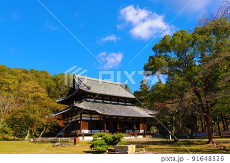 根来寺　秋の風景 91648326