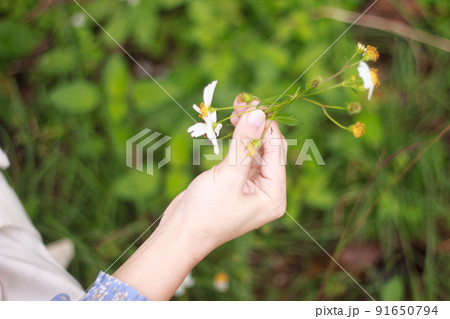 花輪を編む女性の手 花輪を編む女性の手 91650794