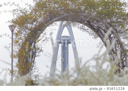春の時期のツインタワーとユキヤナギ（ツインアーチ138　愛知県 一宮） 91651226