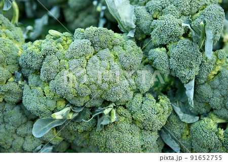 Broccoli in a pile on a market Broccoli in a pile on a market 91652755