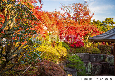 埼玉飯能の秋　紅葉の能仁寺 91653010
