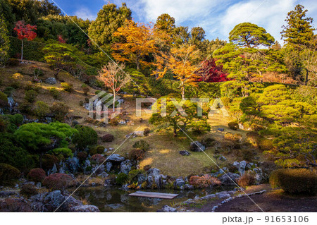 埼玉飯能の秋　紅葉の能仁寺　庭園 91653106