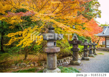 埼玉飯能の秋　紅葉の能仁寺　参道の石灯籠 91653129