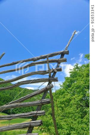 朽ちた稲架け 91653341