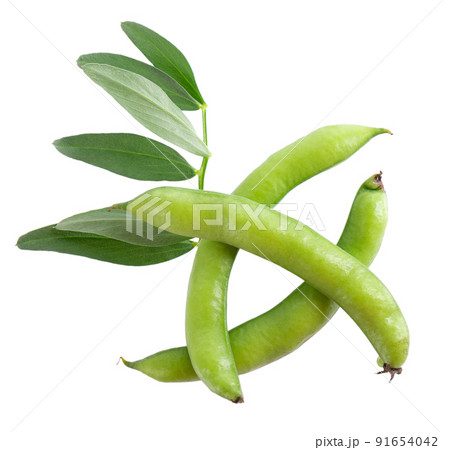 Fresh broad beans in pods with green leaf, isolated on white background. Fava beans. Top view. 91654042