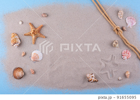Summer nautical marine background with shell Summer nautical marine background with shell 91655095