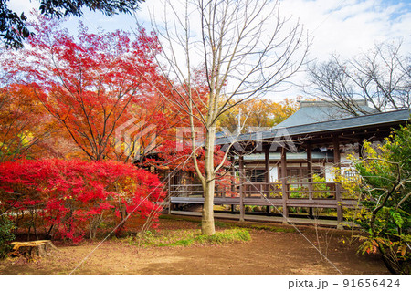 埼玉所沢の秋 紅葉の多聞院毘沙門堂 埼玉所沢の秋 紅葉の多聞院毘沙門堂 91656424