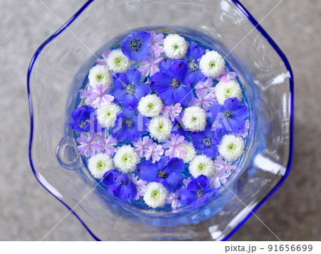 花手水 花手水 91656699