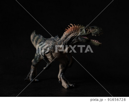アロサウルス 91656728