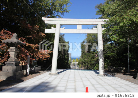 鳥居_住吉神社_小樽 鳥居_住吉神社_小樽 91656818