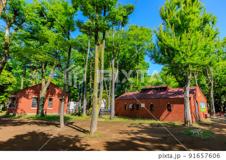 東京　世田谷区池尻にある世田谷公園　ミニSLせたがや公園駅 91657606