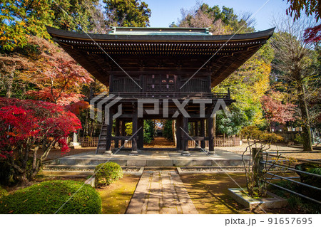 埼玉三芳の秋 紅葉の多福寺 山門 埼玉三芳の秋 紅葉の多福寺 山門 91657695