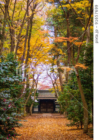 埼玉三芳の秋 紅葉の多福寺 総門 埼玉三芳の秋 紅葉の多福寺 総門 91657699