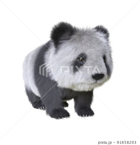 Panda cub 3d illustration isolated white background 91658203