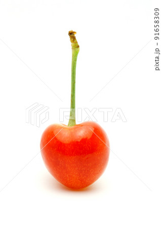 さくらんぼ　サクランボ　ひとつ　一粒 91658309