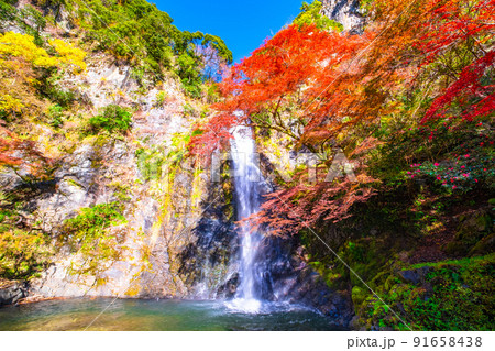 錦秋に染まる箕面の滝 錦秋に染まる箕面の滝 91658438