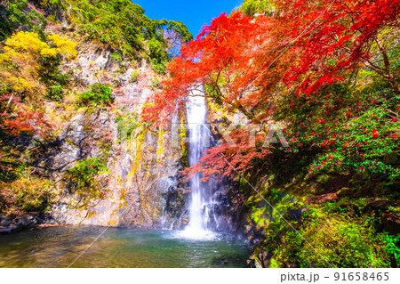 錦秋に染まる箕面の滝 91658465