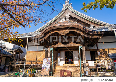 滋賀県近江八幡市　秋の紅葉が美しい八幡山の山頂にある村雲御所の本堂と境内 91658508