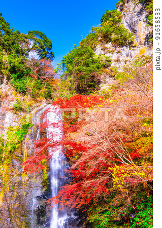 錦秋に染まる箕面の滝 91658533