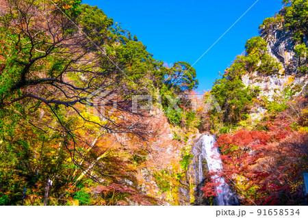 錦秋に染まる箕面の滝 91658534