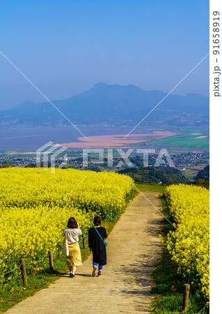 白木峰高原の菜の花　【長崎県諫早市】 91658919