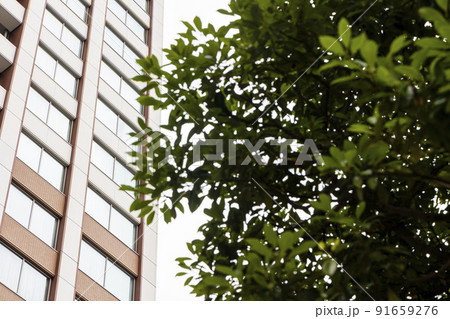 《東京》ベイサイドのタワーマンション 《東京》ベイサイドのタワーマンション 91659276